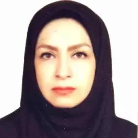 نظر مشتریان ویزاموندیال